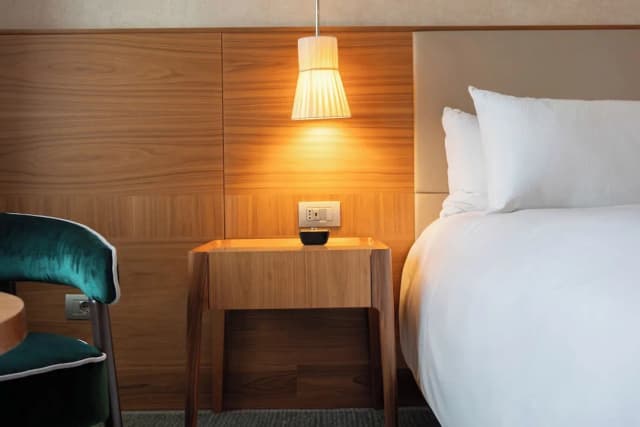 Hilton Milan-客房 (King Guest)-4