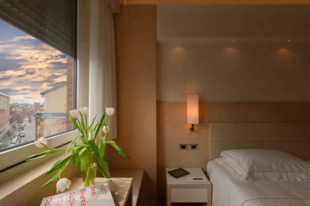 阿里斯頓飯店-經典單人房, 1 張單人床-3
