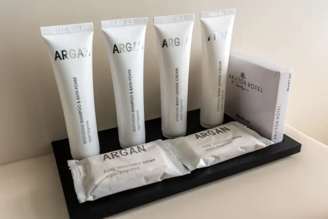 阿里斯頓飯店-經典三人房-17