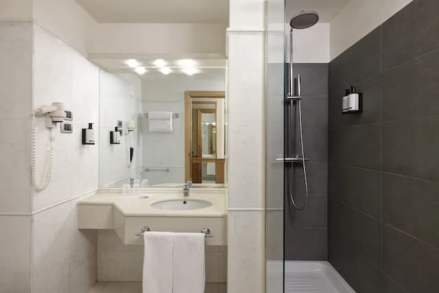 阿倫公園西洋飯店-高級三人房-7