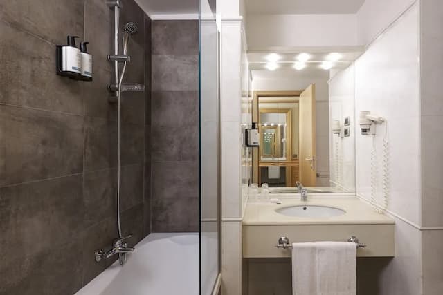 阿倫公園西洋飯店-行政客房-7