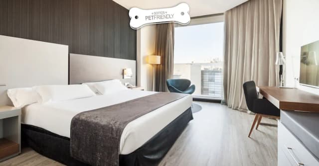 Hotel ILUNION Atrium-Double Room, Pet friendly-1