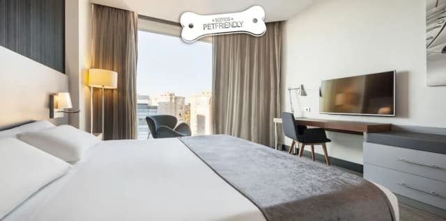 Hotel ILUNION Atrium-Double Room, Pet friendly-4