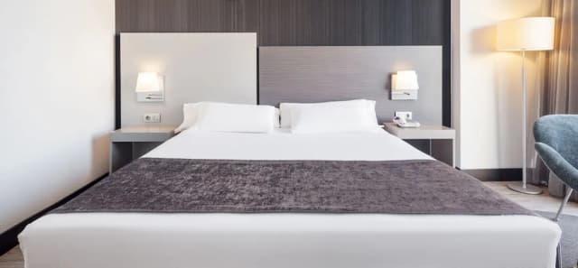 Hotel ILUNION Atrium-Double Room, Pet friendly-3