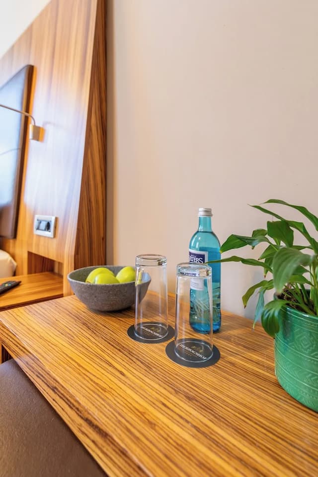 雷根斯堡公爵大教堂 ACHAT 酒店-高級雙人或雙床房-9