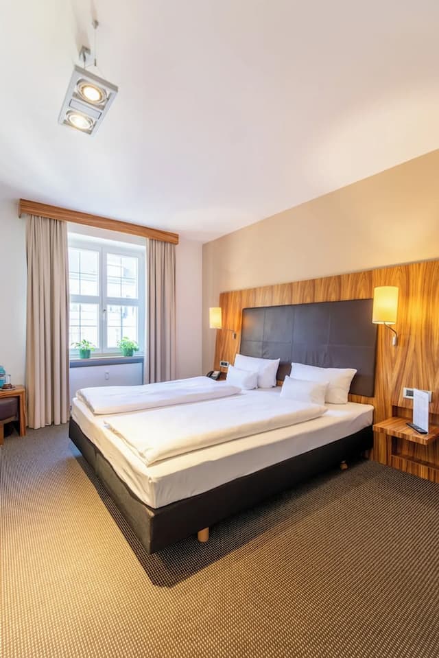 雷根斯堡公爵大教堂 ACHAT 酒店-標準雙人或雙床房-3