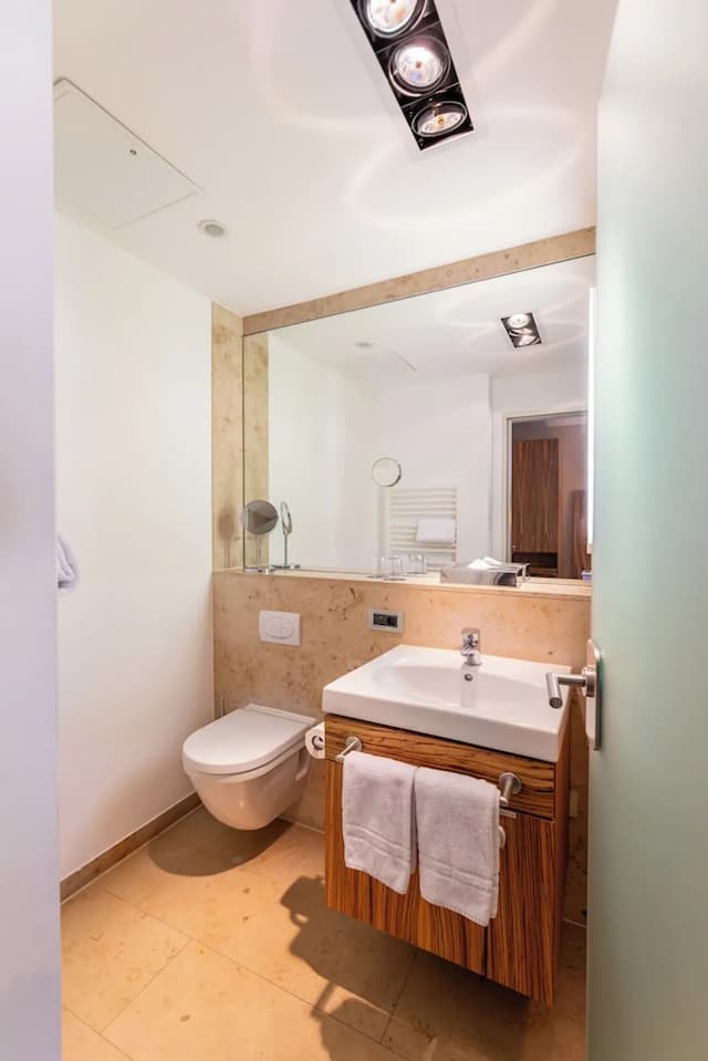 雷根斯堡公爵大教堂 ACHAT 酒店-標準雙人或雙床房-8