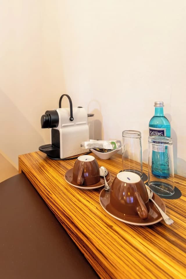 雷根斯堡公爵大教堂 ACHAT 酒店-標準雙人或雙床房-4