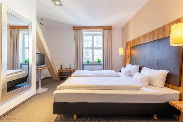 雷根斯堡公爵大教堂 ACHAT 酒店-標準雙人或雙床房-5