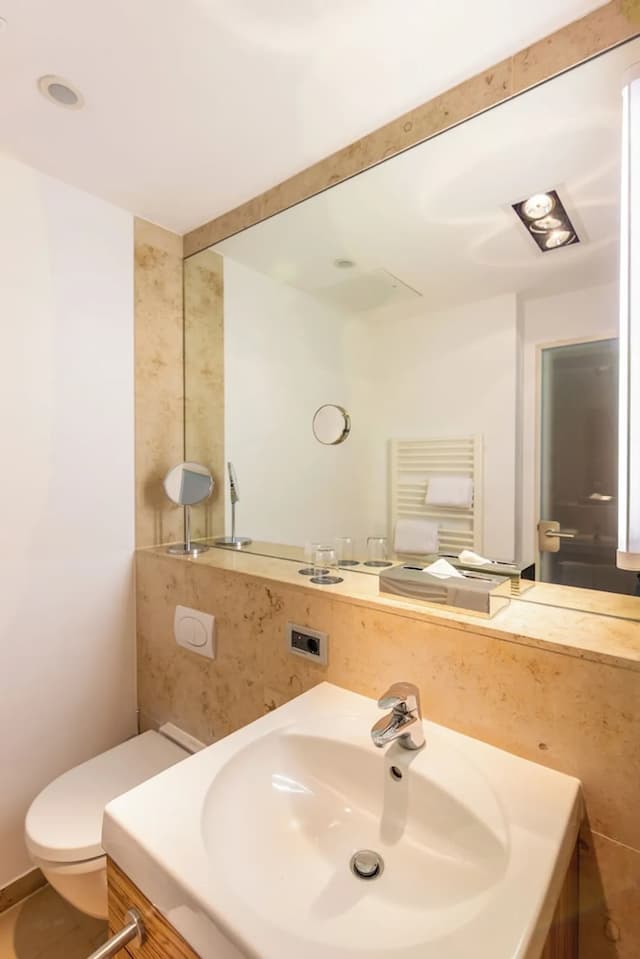 雷根斯堡公爵大教堂 ACHAT 酒店-標準雙人或雙床房-9