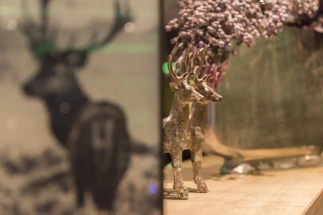 維林貝斯特韋斯特普拉斯酒店-標準公寓, 1 張標準雙人床-2