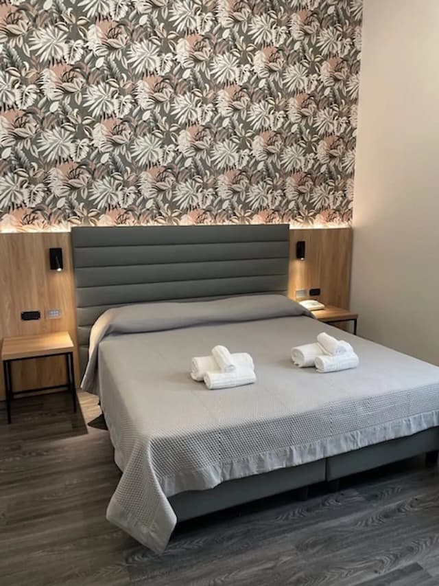 德雷卡梅里耶飯店-雙人或雙床房-1