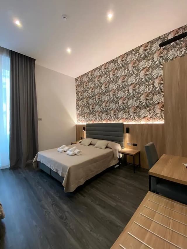 德雷卡梅里耶飯店-雙人或雙床房-2