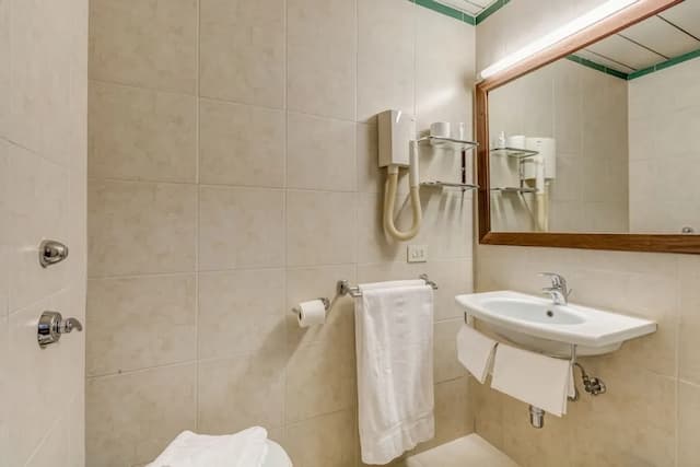 歐羅巴花園飯店-雙人房單人入住-4