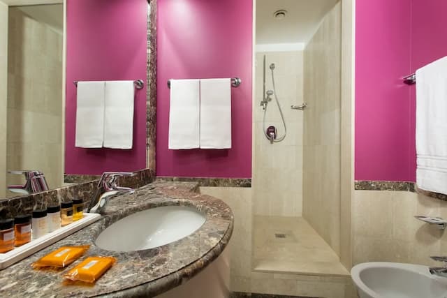 德梅爾里尼飯店-普通套房-4