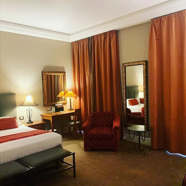 德梅爾里尼飯店-Deluxe King-4