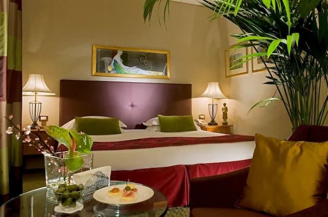 德梅爾里尼飯店-Superior King-1