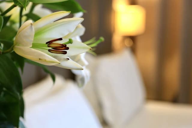 米蘭展會克利馬飯店-高級雙床房-3