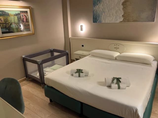 Hotel Santa Maura-雙人或雙床房-5