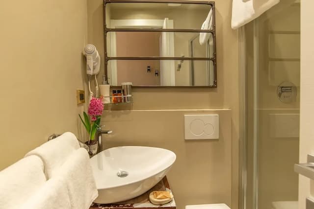 ホテル ジェーン-ダブルルーム (Piccola / Small)-7