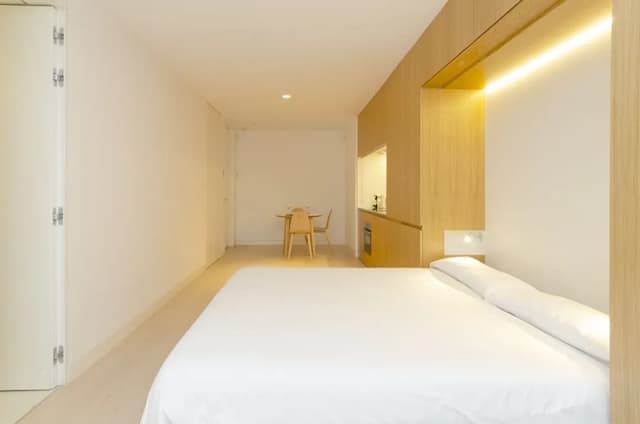 Edmond Vibes Barrio de Salamanca-设计公寓-6