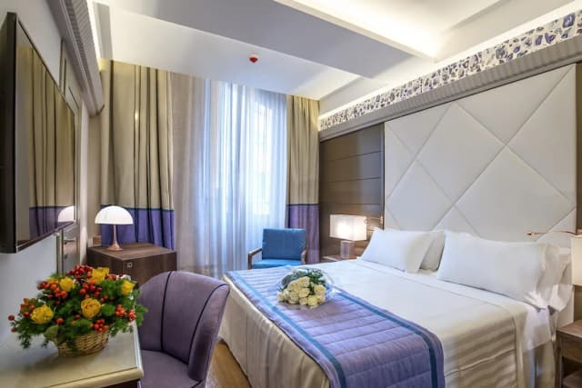 馬爾蒂斯宮殿飯店-經典雙人房-2