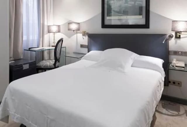 聖多明哥飯店-基本雙人房, 1 張加大雙人床-2