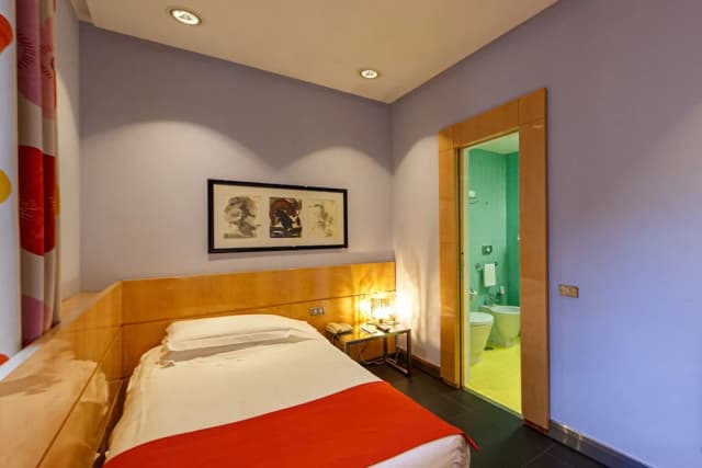 Albani Hotel Roma-Singola Classic con Moquette o Pavimento-3