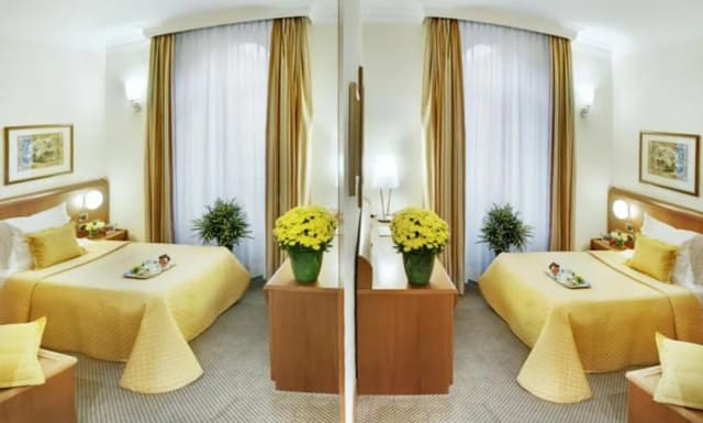 Hotel Ponte Sisto-标准单人房-3