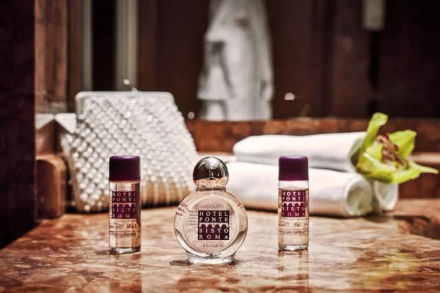 Hotel Ponte Sisto-标准单人房-2