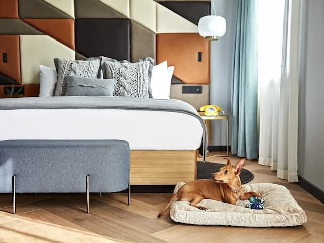 Kimpton Vividora Hotel by IHG-套房, 1 张特大床 (de Vivi)-2