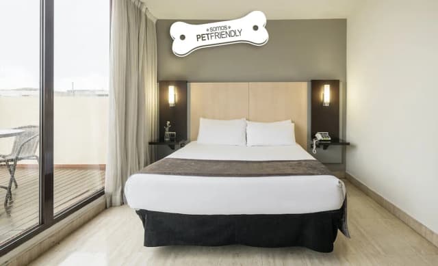 奧米蘭特依路尼恩酒店-雙人房 (Pet friendly)-4