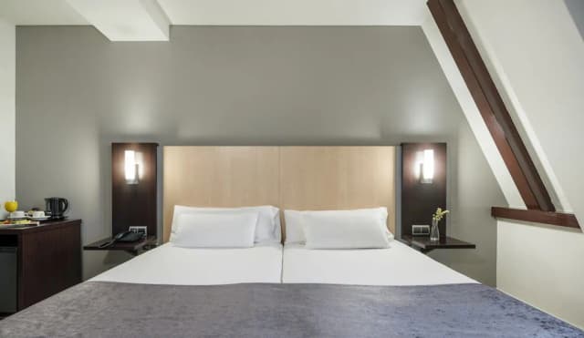 奧米蘭特依路尼恩酒店-雙人房單人入住-2