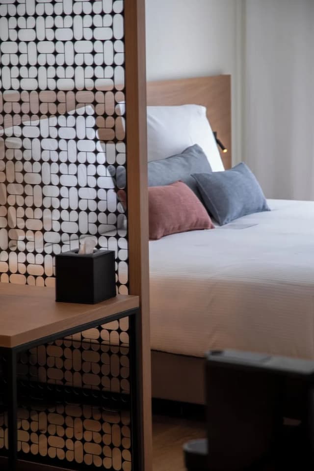 巴塞隆納 Paxton 飯店-豪華雙人房 (Paxton)-10