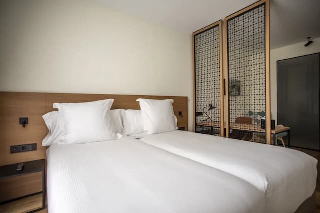 巴塞隆納 Paxton 飯店-豪華雙人房 (Paxton)-4