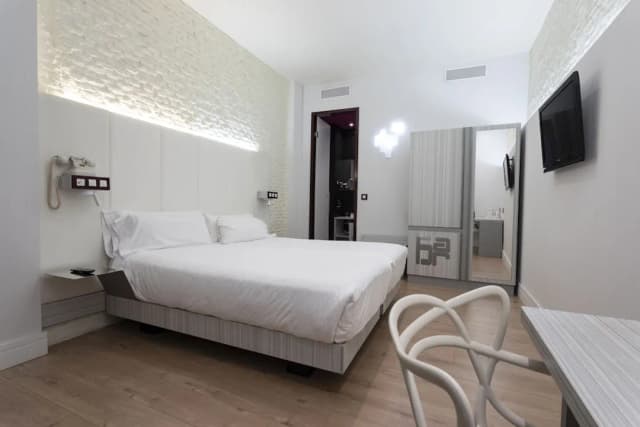 Petit Palace Lealtad Plaza-标准双人房-5