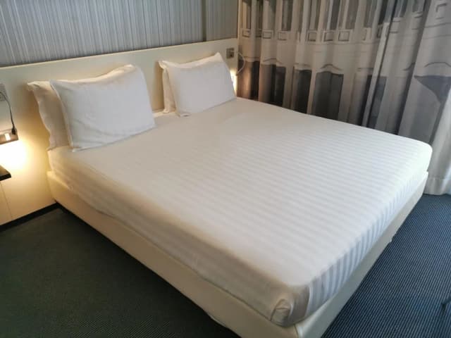 イビス スタイルズ ローマ エウル-スーペリア ダブルルーム ダブルベッド 1 台 バルコニー-5