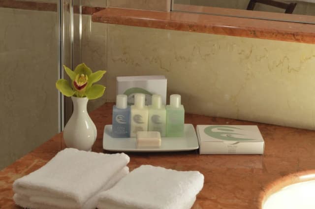 Grand Hotel Vesuvio-Superior Room King or Twin-5