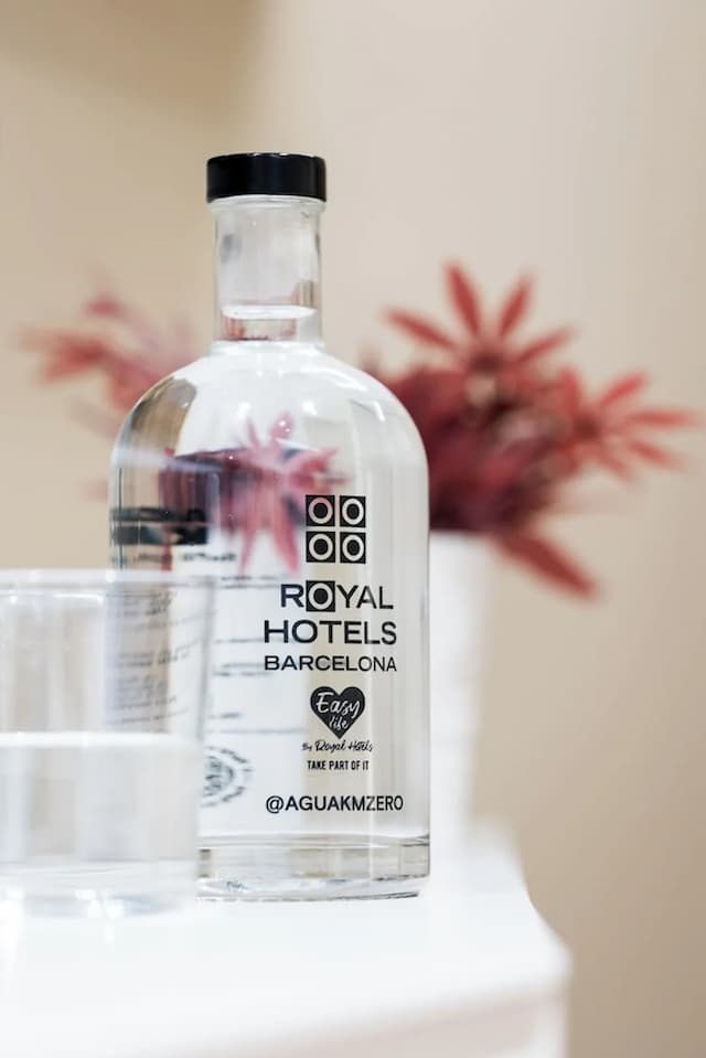 皇家大道飯店-基本雙人房, 1 張標準雙人床-10