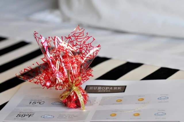 歐洲公園飯店-高級單人房, 陽台-5