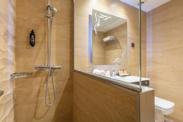 Gran Hotel Barcino-Double Room Single Use-21