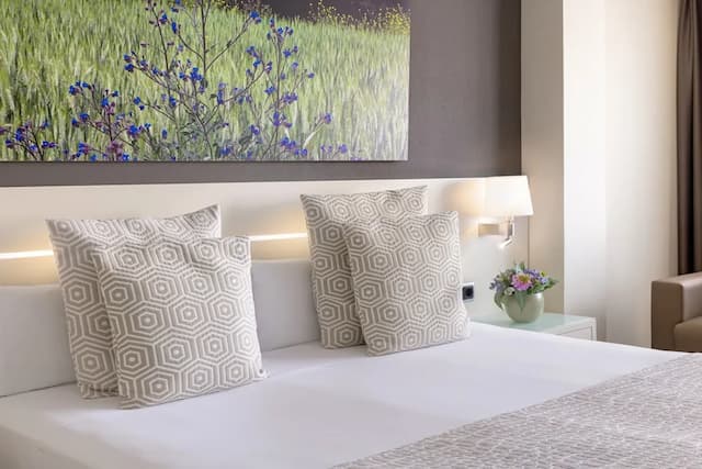 卡莉波利斯酒店-三人房-3