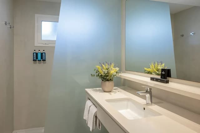 卡莉波利斯酒店-Executive Double or Twin Room Single use, Mountain View-6