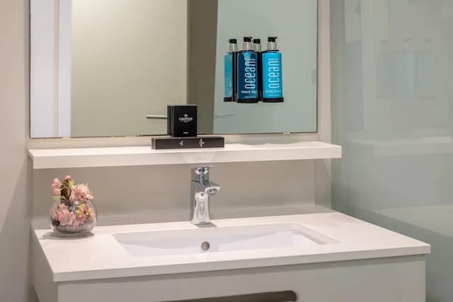 卡莉波利斯酒店-標準雙人房單人入住-5