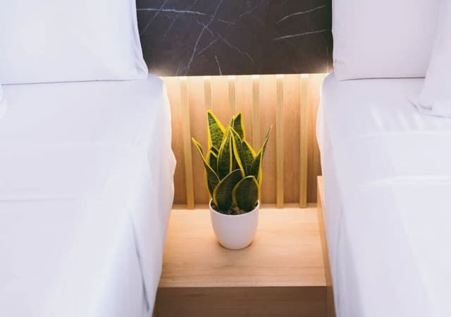 卡薩卡德尼亞青年旅館-標準雙人或雙床房-14