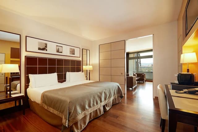 歐洲之星瑪蓮娜大飯店-套房, 城市景觀-1