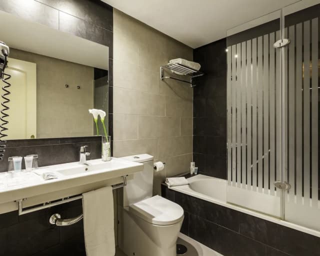 Hotel ILUNION Suites Madrid-Double Room, Pet friendly-2