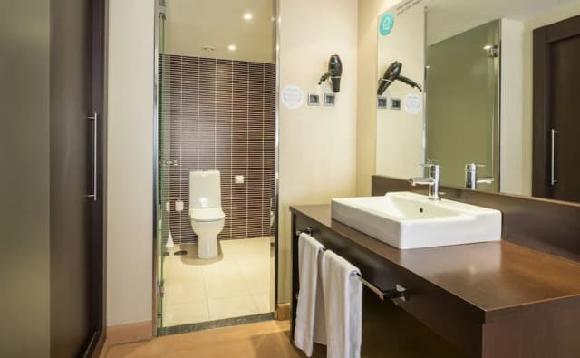 Hotel ILUNION Suites Madrid-Premium Double Room-4