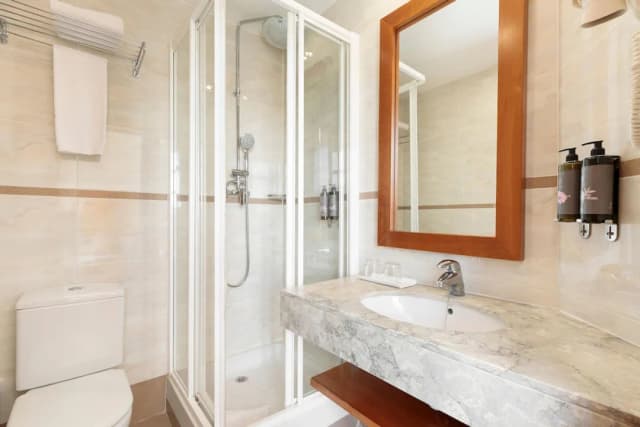 ホテル ベスト アラネア-シングルルーム-7