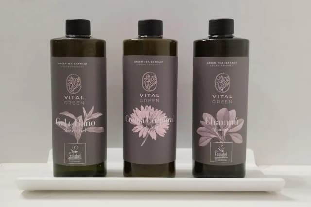 ホテル ベスト アラネア-スーペリア ダブルまたはツインルーム-17